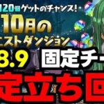 【10月のクエスト】Lv8.9固定チーム！ド安定立ち回り解説！【パズドラ】