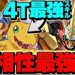 1撃1600億火力！八神太一×ウルトナで新凶兆12分攻略！世界最強4Tスキルがエグすぎる！！【パズドラ】