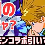 【パズドラ】まさかの神引き!?デジモンアドベンチャーコラボガチャ13連！