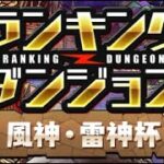 【133個目】王冠GET‼️ランキングダンジョン風神・雷神杯 【パズル&ドラゴンズ/#パズドラ】