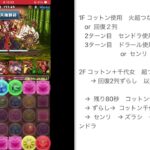 ランダン風神雷神杯【219156  パズドラ 】ズラシ立ち回り　2024.10 ランキングダンジョン