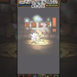 ドロシーってみんなのトラウマよね(主に百花3) #パズドラガチャ  #パズドラ