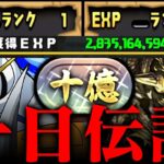 【伝説】初日30億EXP??? 新垢一日で十億チャレンジクリアｗｗｗｗｗ【パズドラ オメガモン】