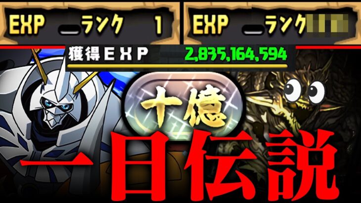 【伝説】初日30億EXP??? 新垢一日で十億チャレンジクリアｗｗｗｗｗ【パズドラ オメガモン】