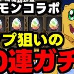 【ガチャ動画】コンプ狙いでデジモンコラボ40連ガチャ！【パズドラ】