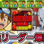 【最強】単体900億&樽2個&シールド破壊&生成スキル！？ 新キャラの『八神太一&ウォーグレイモン』が環境ぶっ壊しててやばい！！！！ 【パズドラ デジモン コラボ 八神太一&アグモン】