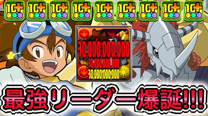 【最強】単体900億&樽2個&シールド破壊&生成スキル！？ 新キャラの『八神太一&ウォーグレイモン』が環境ぶっ壊しててやばい！！！！ 【パズドラ デジモン コラボ 八神太一&アグモン】