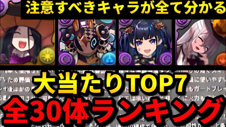 【A＋までは要注目】隠れ強武器を逃すな‼️ハロウィンの全キャラランキング解説‼️（キョウリ、パイモン、イベント、ヘラルナ、濃姫信長、交換）【パズドラ】