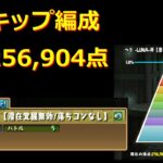 【ヘラ-LUNA-杯】４スキップ編成【ランキングダンジョン】