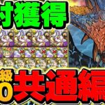 【絶対にやれ】”オメガモン無料ゲット”のチャンス！デジモンLV1-LV10を共通編成でクリア！代用&立ち回り解説！【パズドラ】