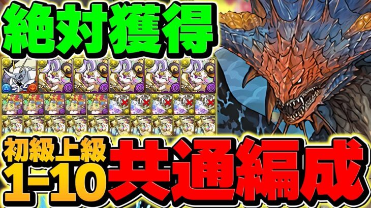 【絶対にやれ】”オメガモン無料ゲット”のチャンス！デジモンLV1-LV10を共通編成でクリア！代用&立ち回り解説！【パズドラ】