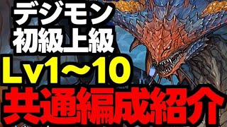 【デジモン初級上級共通編成】低難易度！Lv1〜10をネロミェールずらしで爆速共通編成！代用＆立ち回り解説！【パズドラ】