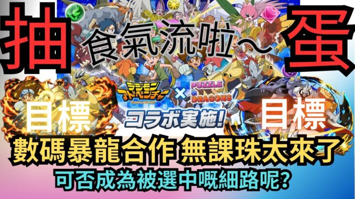 【パズドラ】【PAD】數碼暴龍合作抽蛋 無課珠太來了！可否成為被選中嘅細路