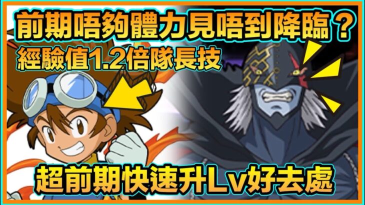 PAD パズドラ  新手入坑 前期升Lv好去處 ！唔夠99體打凶兆 降臨及鬥技場必需留意！八神太一 做隊長升快d