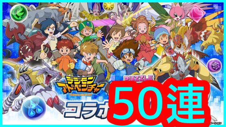 【パズドラPAD】【デジモンアドベンチャー】50連抽 數碼暴龍 パズドラ ハロウィンイベント ハロウィンガチャ