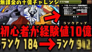 【パズドラ】始めたてが一瞬で高ランカーWWWWWWWW【ダックス】【パズドラ実況】