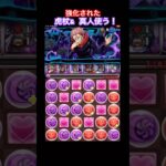 【パズドラ】強化された虎杖＆真人使う！/ヤメ〜こまる #パズドラ #fateコラボ #呪術廻戦コラボ #虎杖悠二 #真人 #間桐桜 #fate #呪術廻戦