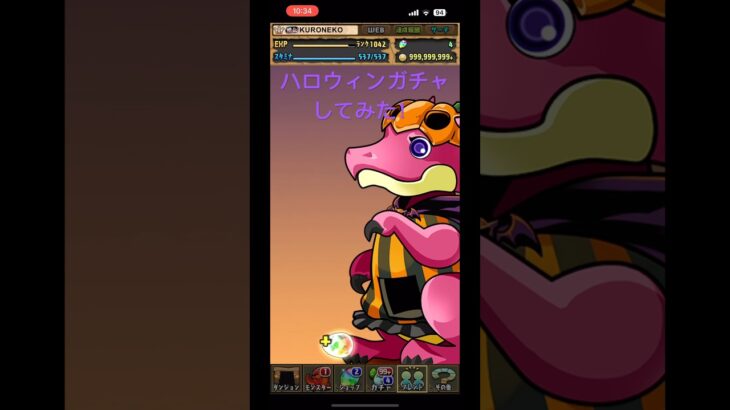 【パズドラ】『ハロウィンガチャしてみた！』kuronekoゲームズ #パズドラ #ガチャ #ハロウィンガチャ