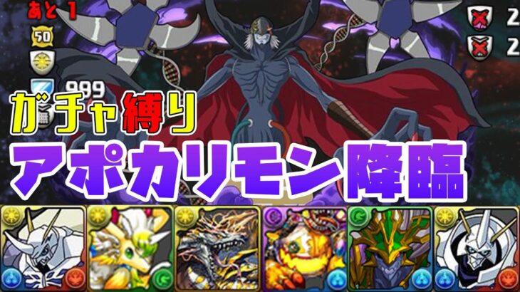 【パズドラガチャ縛り】アークウェルザと相性抜群！？期待の闇リーダーアポカリモンを報酬オメガモンでサクッと回収！【ゆっくり実況】part.111