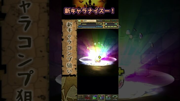 新キャラナイスー！！ #パズドラ #ハロウィンイベント #shorts #ハロウィンガチャ