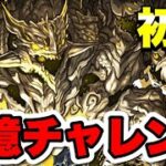 【十億チャレンジ】初見から攻略まで目指す【パズドラ】#パズドラ#shorts#縦型配信