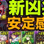 【新凶兆】ラクスクラインなしジノ編成が安定感抜群【パズドラ】