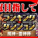 🔴【ランダン】王冠取るまで！ #パズドラ　#雑談　#ラジオ 　#縦型配信