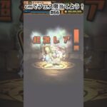 新宿くんの相方って誰？　#パズドラガチャ  #パズドラ