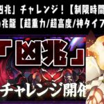 【生放送】 新凶兆チャレンジ縛り攻略【パズドラ】