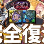 【新凶兆】デイトナ＆ハロウィンコットンで快適にクリア！【パズドラ】