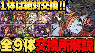 あいつは必ず交換しておこう！ハロウィンキャラ全９体の交換所解説！！【ハロウィンイベント】【パズドラ実況】