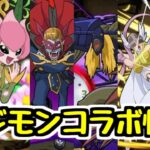 【デジモンコラボ情報】新規コラボ！発表された新キャラの性能見ていく！【パズドラ】