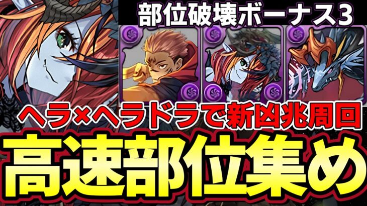 【パズドラ】ハロウィンヘラ入り宿儺で新凶兆部位破壊周回編成‼︎ハデドラ１体で超高速部位破壊‼︎【パズドラ実況】