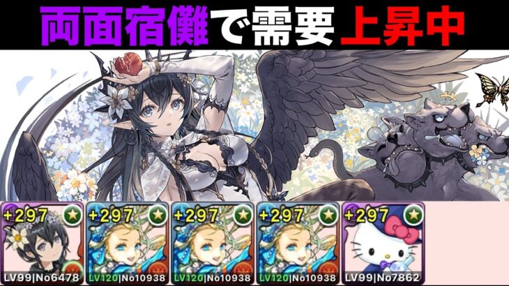 【簡易編成】バレノア編成で簡単クリア！【試練ペルセポネ】【パズドラ】