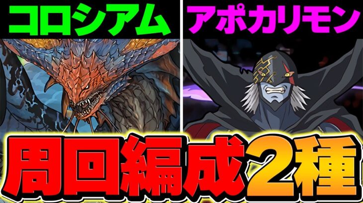 アポカリモン&デジモンコロシアム周回編成！ネロミェールで激ウマ報酬をゲットしよう！！【パズドラ】