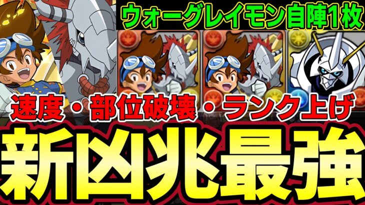 【パズドラ】速度×部位破壊×ランク上げできるウォーグレイモンの新凶兆周回編成⁉︎部位破壊３パンできるサブオメガモンもやばい‼︎デジモン最高‼︎【パズドラ実況】