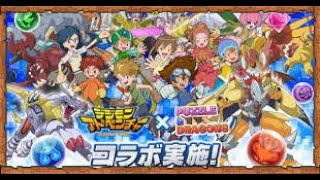 【パズドラ】俺得すぎるデジモンコラボガチャをコンプするまで引く　マルチいつでも募集