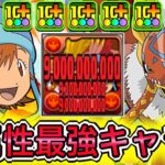 【最強】まだ誰も気づいてない隠れぶっ壊れキャラ！？ 『武之内空&ガルダモン』の性能が破格すぎて弱点がなさすぎる！！！！ 【パズドラ デジモン コラボ 武之内空&ピヨモン 武之内空&バードラモン】