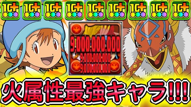 【最強】まだ誰も気づいてない隠れぶっ壊れキャラ！？ 『武之内空&ガルダモン』の性能が破格すぎて弱点がなさすぎる！！！！ 【パズドラ デジモン コラボ 武之内空&ピヨモン 武之内空&バードラモン】