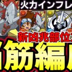 【パズドラ】太一アグモン脳筋新凶兆周回編成で部位破壊も楽々‼︎ウォーグレイモンとオメガモンループが強すぎる‼︎【パズドラ実況】