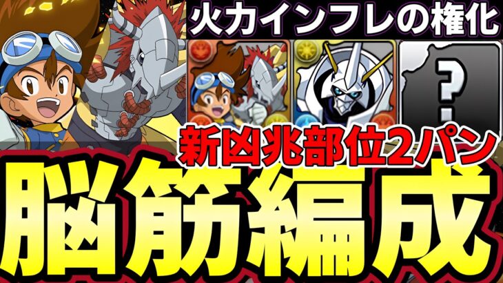 【パズドラ】太一アグモン脳筋新凶兆周回編成で部位破壊も楽々‼︎ウォーグレイモンとオメガモンループが強すぎる‼︎【パズドラ実況】