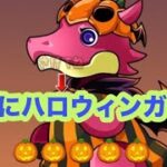 斜め上行く神引き【パズドラ 】【ハロウィンガチャ】#吉日ガチャ