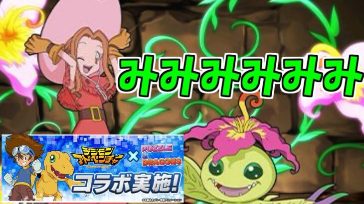 【新千手】太刀川ミミ&パルモン～ミミミミミミ～【パズドラ実況】