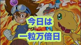 デジモンアドベンチャーコラボ引きます。【パズドラ 】#吉日ガチャ