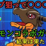 【デジモンコラボガチャ】コンプ狙いでガチャ!!結果は…【パズドラ】