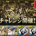 【パズドラ】十億チャレンジ最強オメガモンループ攻略立ち回り解説　レシート付き