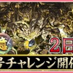 【パズドラ】新称号チャレンジ開催！十億チャレンジリベンジ！【雑談】