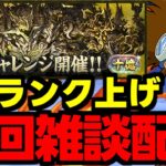 【生放送】十億チャレンジでランク上げ!周回雑談配信!【パズドラ】