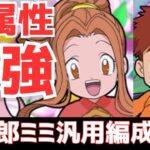 【パズドラ】最不遇属性の逆襲！木列火力が高すぎる！泉光子郎×太刀川ミミ汎用編成紹介！