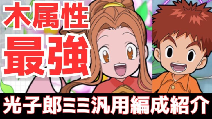 【パズドラ】最不遇属性の逆襲！木列火力が高すぎる！泉光子郎×太刀川ミミ汎用編成紹介！